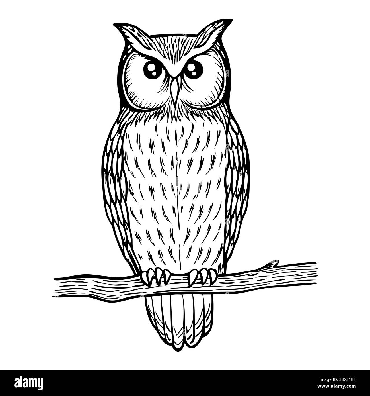 Une illustration détaillée d'un hibou perché sur une branche. Le hibou a de grands yeux et des motifs de plumes complexes, mettant en valeur ses caractéristiques distinctives. Illustration de Vecteur