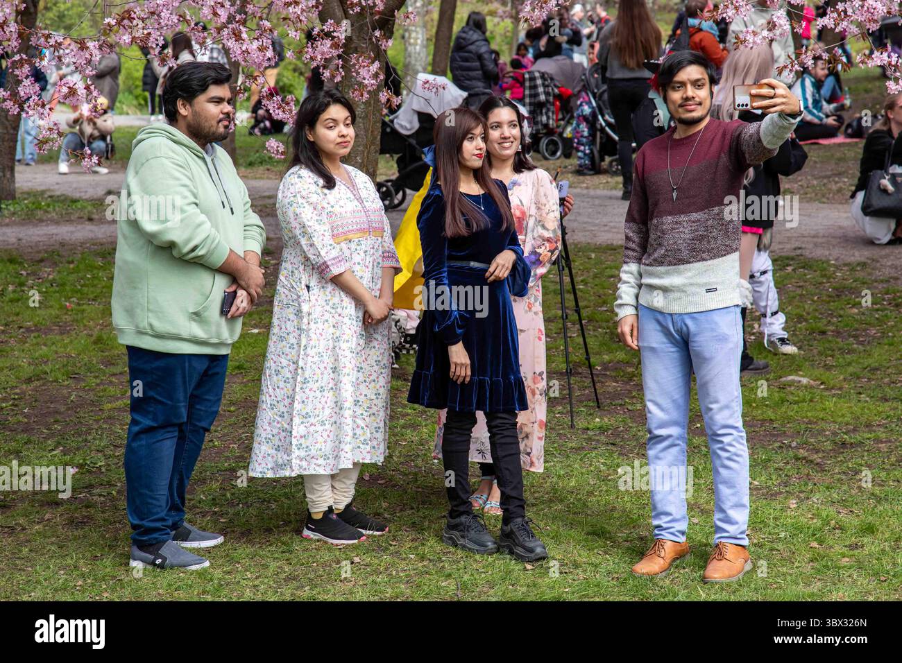 Homme prenant un selfie de groupe avec son téléphone portable au festival Roihuvuori Hanami des cerisiers en fleurs dans le district de Roihuvuori à Helsinki, Finlande Banque D'Images