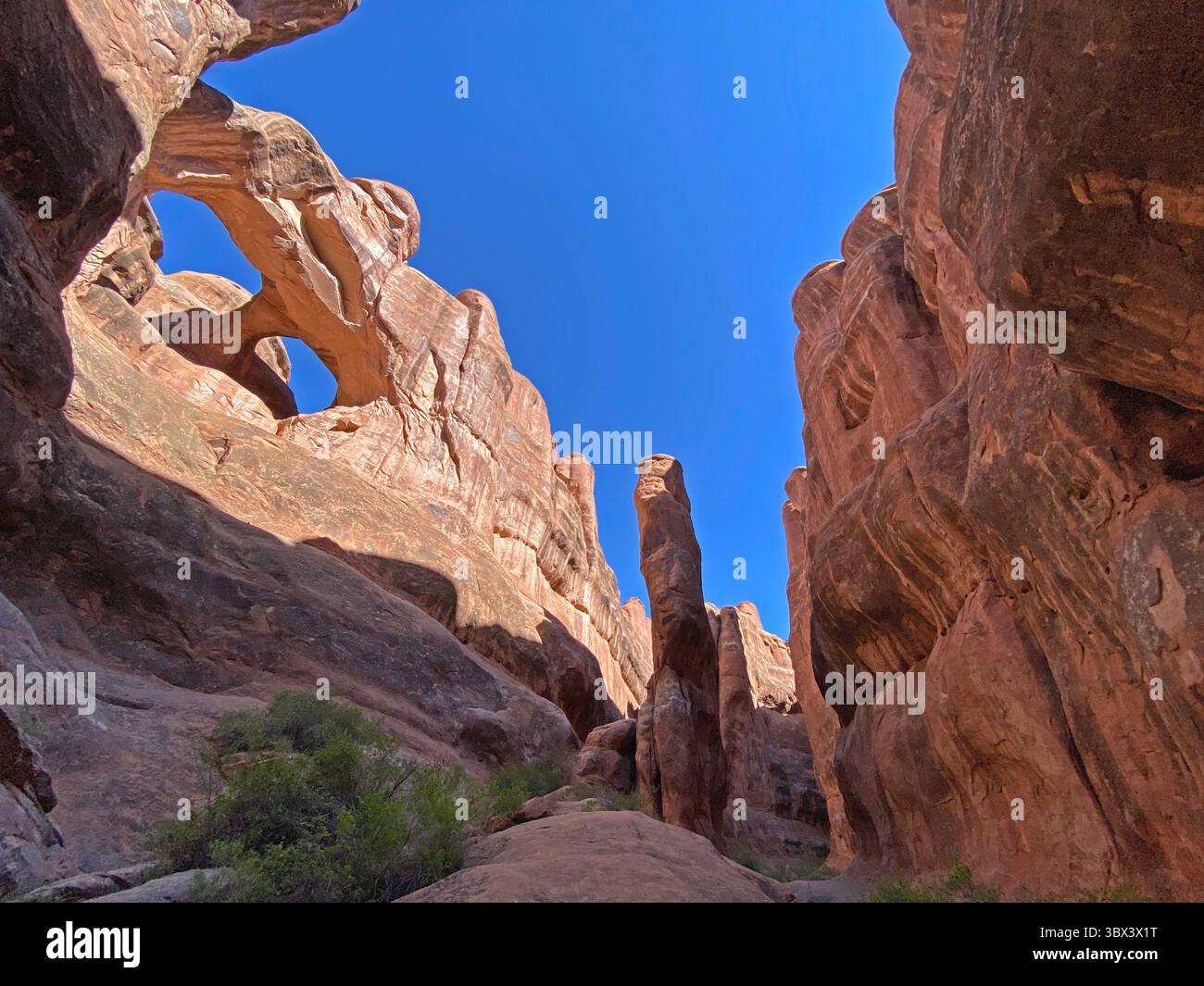 Dans un canyon sur le Fiery Furnace Trail dans le parc national d'Arches, en regardant les formations d'arcs, les ailerons et les parois du canyon un jour d'été avec un bleu clair - Image de stock capturée avec un smartphone