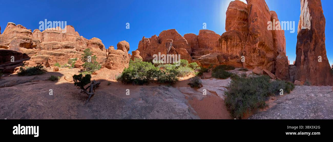 Paysage désertique sur le Fiery Furnace Trail dans le parc national d'Arches, avec des formations rocheuses de grès, des ailerons et des buissons de créosote, sur un lieu lumineux et ensoleillé, su - Image de stock capturée avec un smartphone