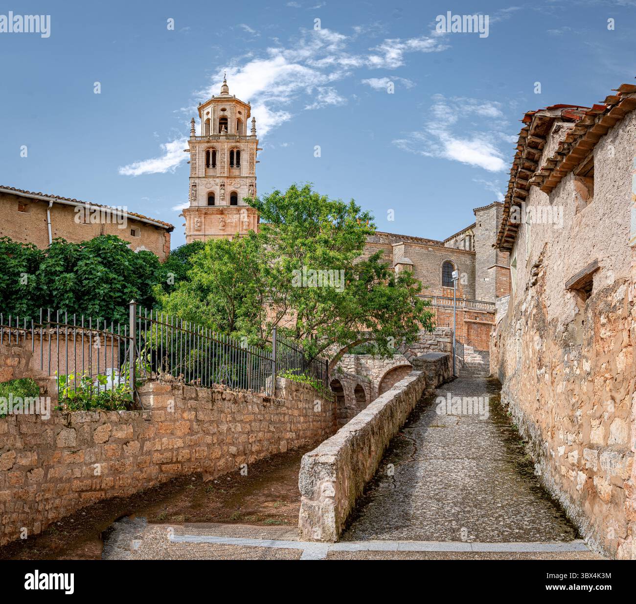 Collégiale de l'Assomption de Santa Maria del Campo. Burgos, Espagne. Banque D'Images
