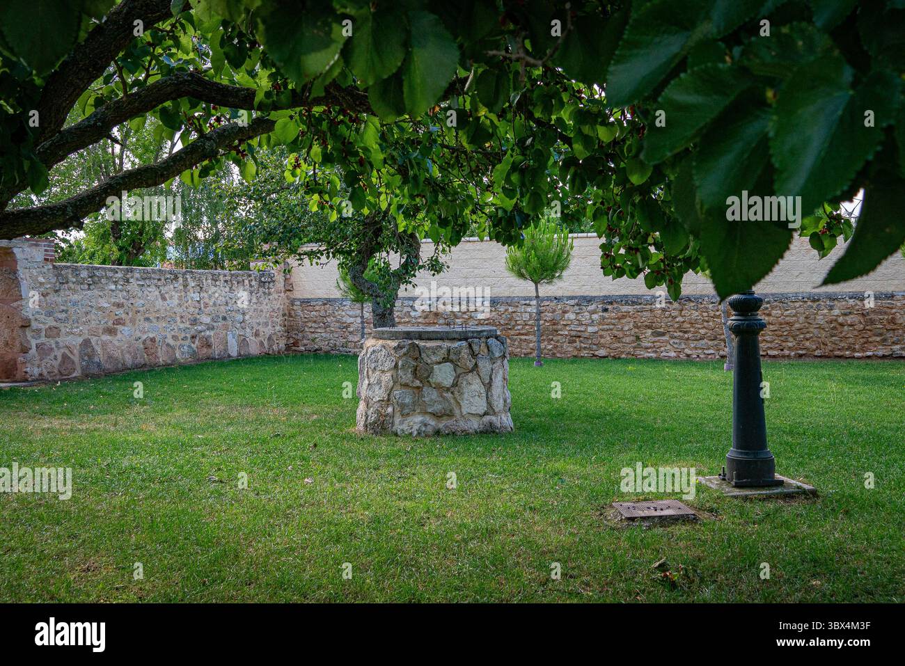 Jardin de Miguel Delibes à Santa María del Campo, Burgos, Espagne. Banque D'Images