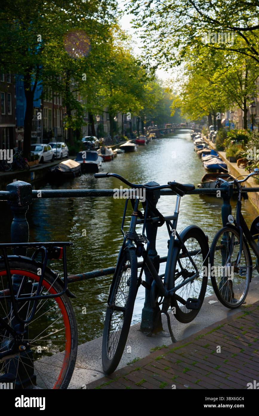Vélos sur un pont de canal tranquille. Vélos sur la balustrade d'un pont de canal d'Amsterdam avec un canal calme en arrière-plan. Banque D'Images