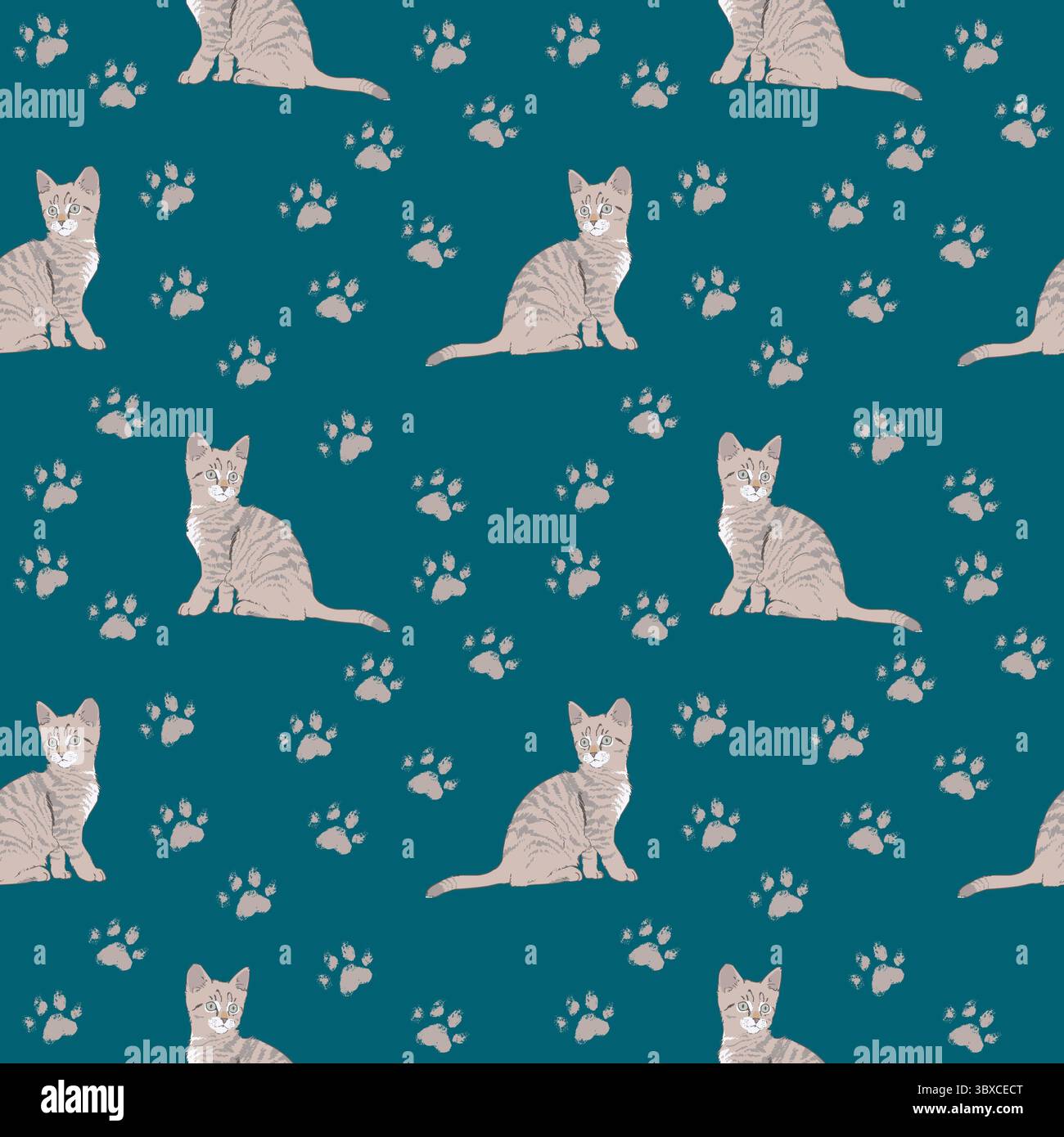 chatons tabby gris et impressions de pattes sur un fond sarcelle riche Banque D'Images