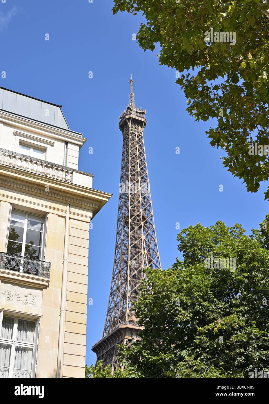 Tour Eiffel, 7ème arrondissement, vue à travers les arbres et le bâtiment d'architecture haussmannienne. Paris, France, Europe. Banque D'Images