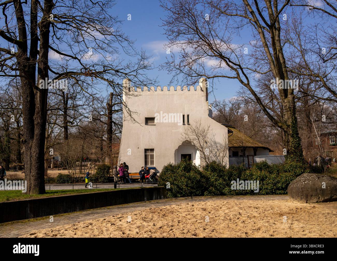 Le zèbre de Grévy dans le zoo de Berlin, état de Berlin, Berlin, Allemagne Banque D'Images