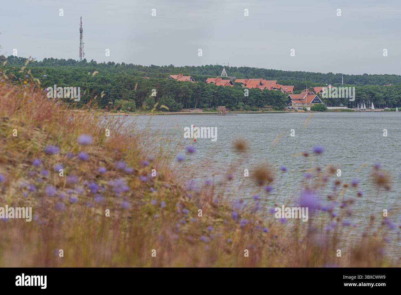 Vue sur le port de Nida sur l'axe de Curonian, Lituanie, avec des fleurs sauvages au premier plan et l'eau calme du lagon. Photo de haute qualité Banque D'Images