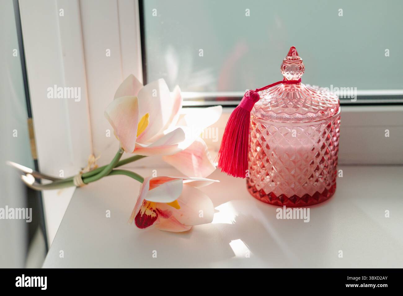 Une belle bougie rose avec un pompon rouge, à côté de fleurs délicates dans un éclairage doux. Une bougie rose se trouve à côté d'orchidées roses, créant un serein et e Banque D'Images