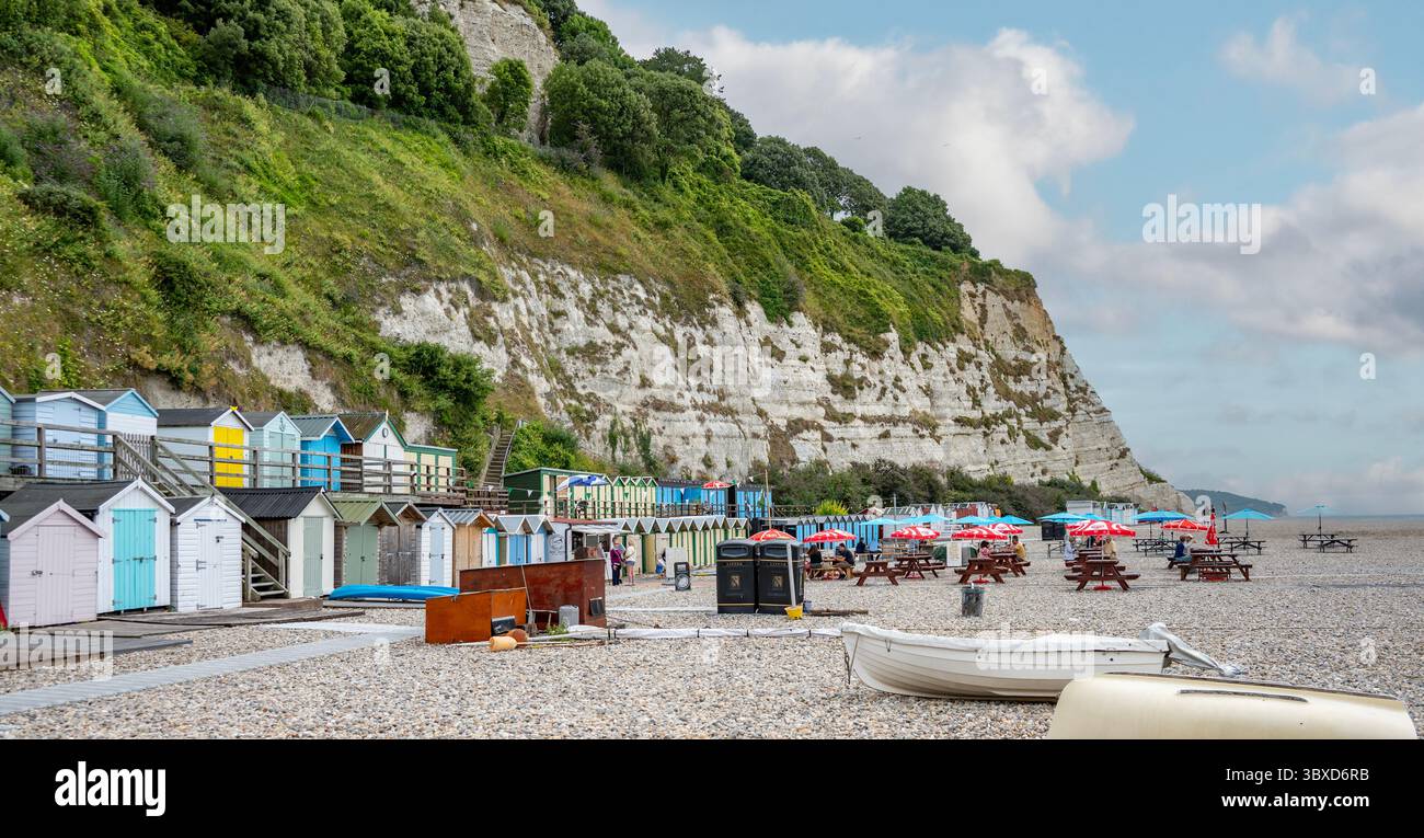 Falaises et plage à Beer, Devon, Angleterre Banque D'Images