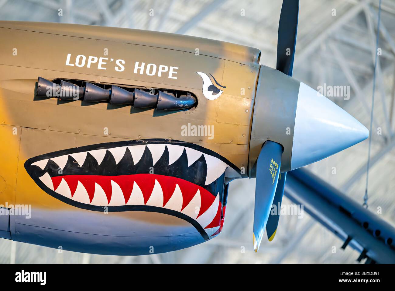 Avion de chasse Curtiss P-40E Warhawk dans le hangar d'aviation Boeing au Centre Udvar-Hazy | CHANTILLY, Virginie — Un gros plan du nez « Lope's Hope » montre les ports de mitrailleuses et la bouche de requin béante peintes sur ce Curtiss P-40E Warhawk, suspendu dans le hangar d'aviation Boeing au Centre Steven F. Udvar-Hazy. La livrée à la face de requin du Warhawk est devenue une image emblématique du groupe de volontaires américains, les Flying Tigers, qui ont combattu des avions japonais au-dessus de la Chine au début de la première Guerre mondiale. Curtiss-Wright a livré cette cellule au Canada en 1941 en tant que Kittyhawk I, piloté par la Royal Canadian Air Fo Banque D'Images