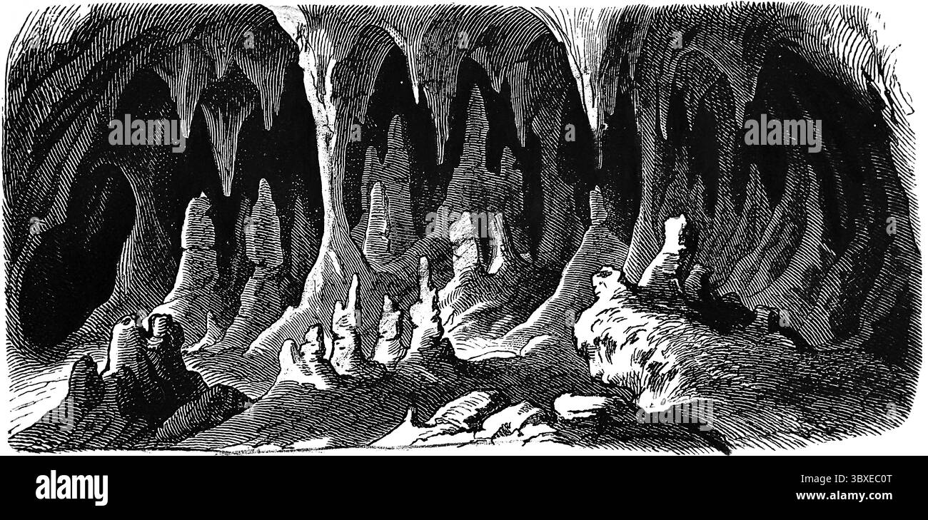Grottes de Postojna ou grotte d'Adelsberg, grotte calcaire, système de grottes, stalactites, stalagmites, géologie, histoire géologique, Slovénie, vue historique, Sey Banque D'Images