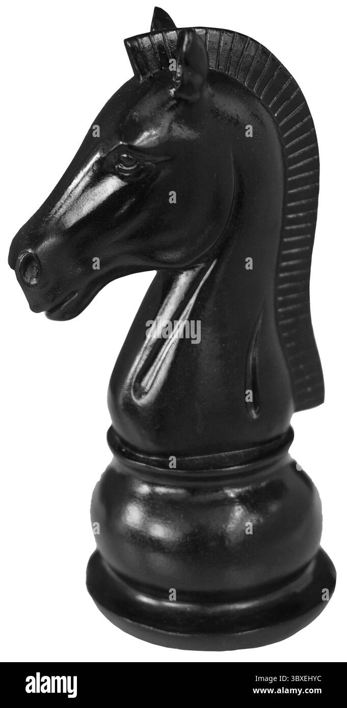 Pièce d'échecs en bois chevalier couleur noire, isolé sur fond blanc Banque D'Images