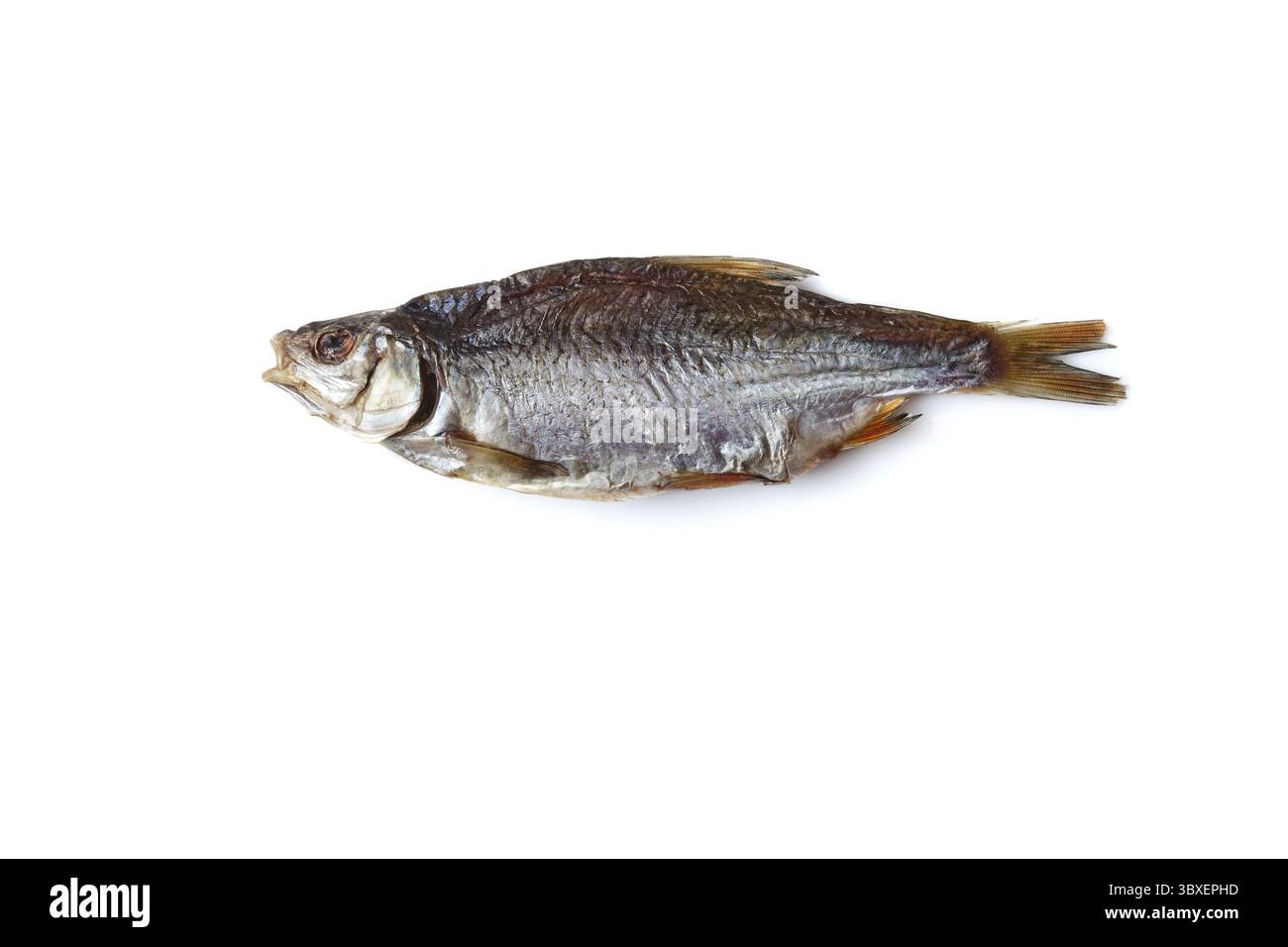 Un cafard à joues jerky ou séché, délicieux séche isolé sur fond blanc. Apéritif à la bière salée. Manière traditionnelle de préserver le poisson. Gros plan, Banque D'Images