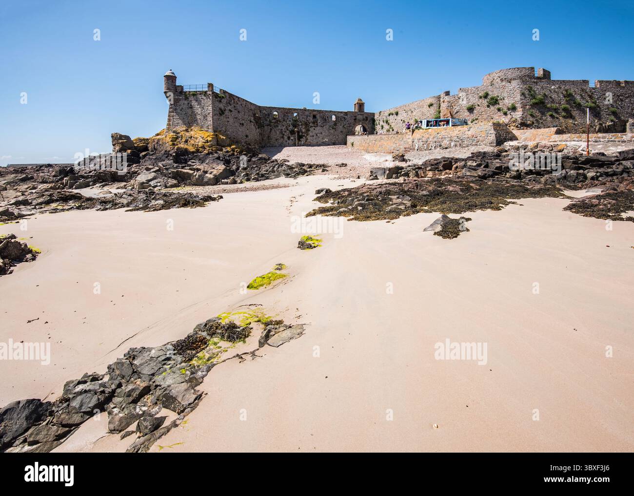 Elizabeth Castle Rocks et algues exposées à marée basse, Jersey, îles Anglo-Normandes...... Sortez de St Helier. Banque D'Images