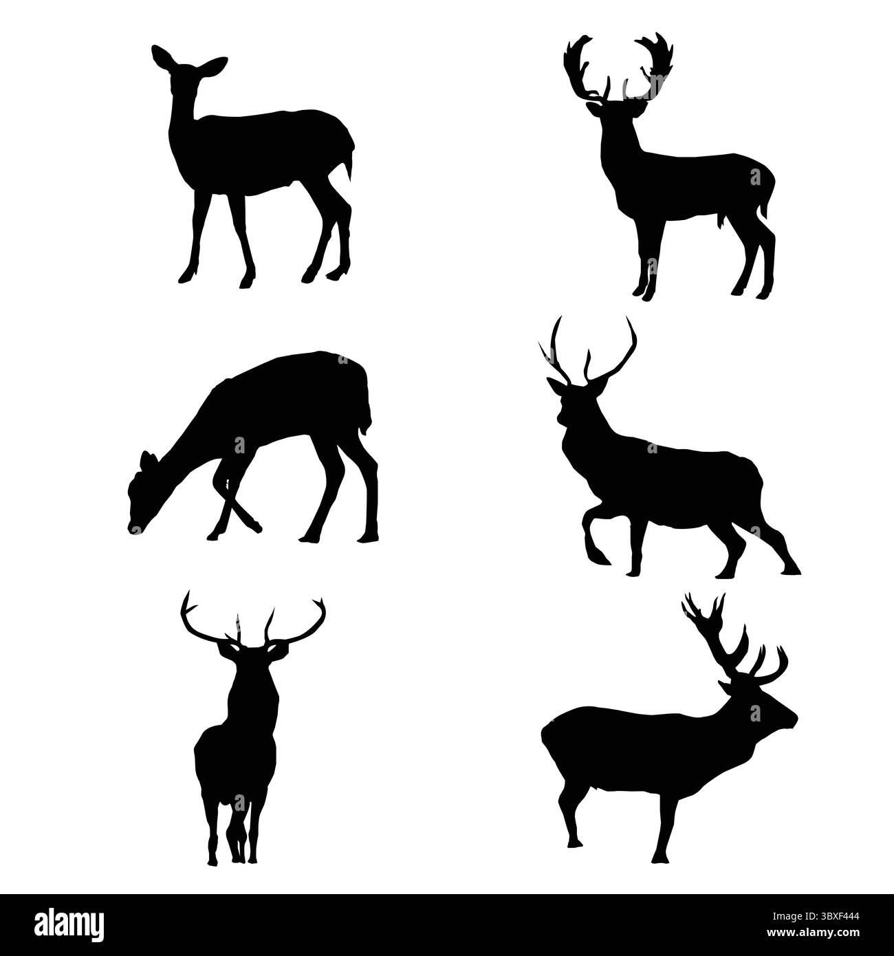 Silhouette noire d'une illustration blanche de formes de cerf Illustration de Vecteur