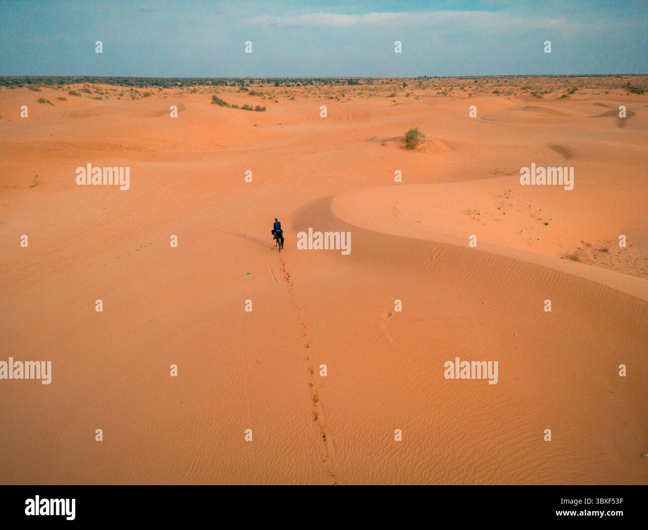 Vue aérienne d'une figure solitaire traversant les dunes roulantes, embrassées par le soleil, des empreintes de pas derrière, un contraste frappant avec l'horizon sans fin, Yusufari, Yobe, Nigeria. Banque D'Images