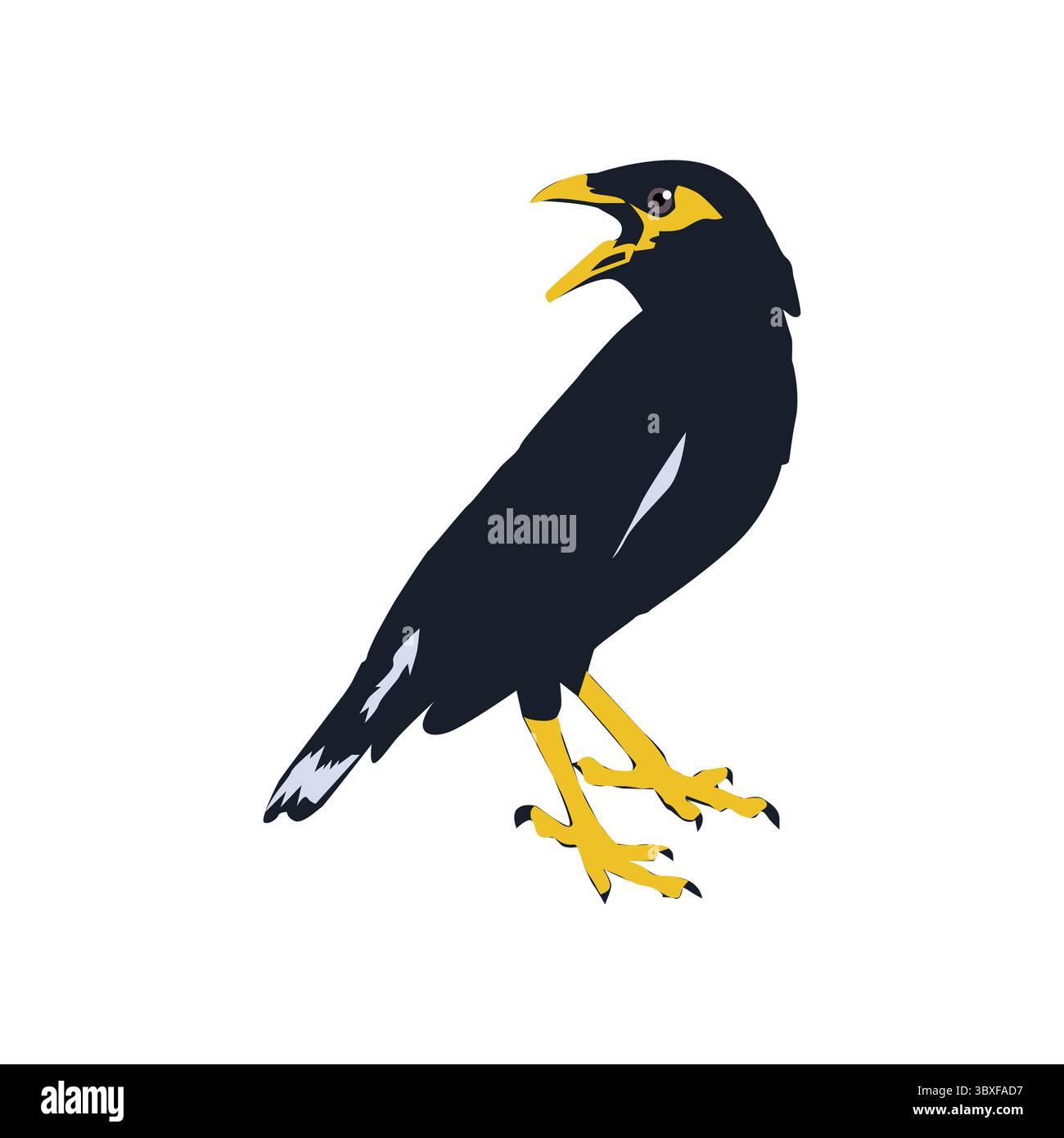 Vecteur d'illustration d'oiseau Bully basé sur le fond blanc vol 03 Illustration de Vecteur