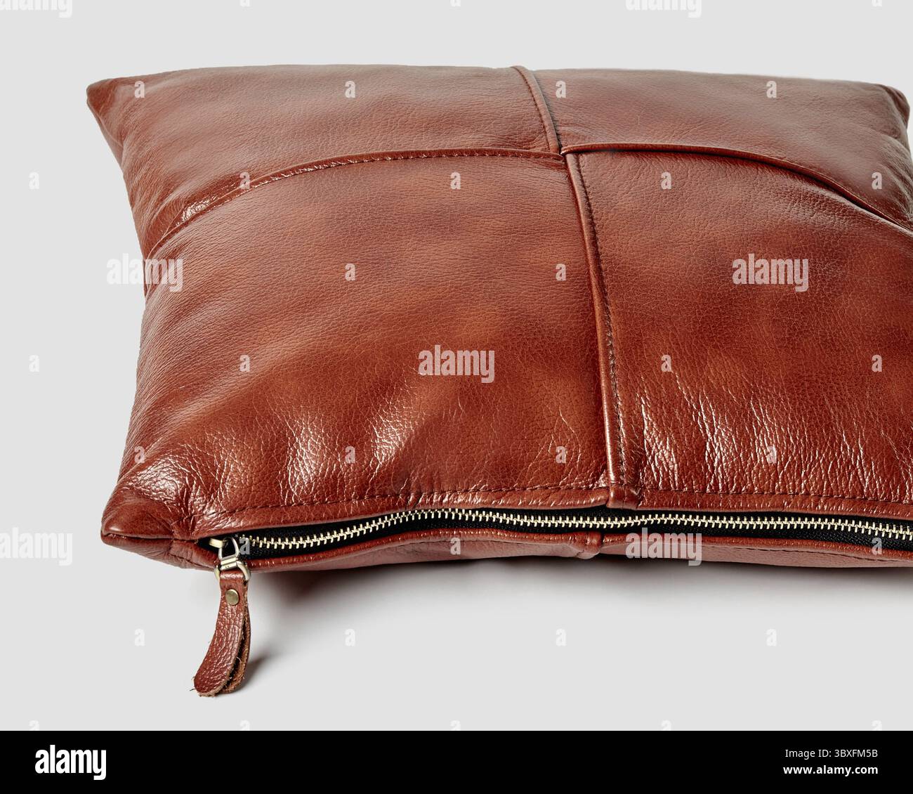 Housse de coussin en cuir marron élégante avec fermeture éclair visible, ajoutant une touche d'élégance à n'importe quel intérieur Banque D'Images