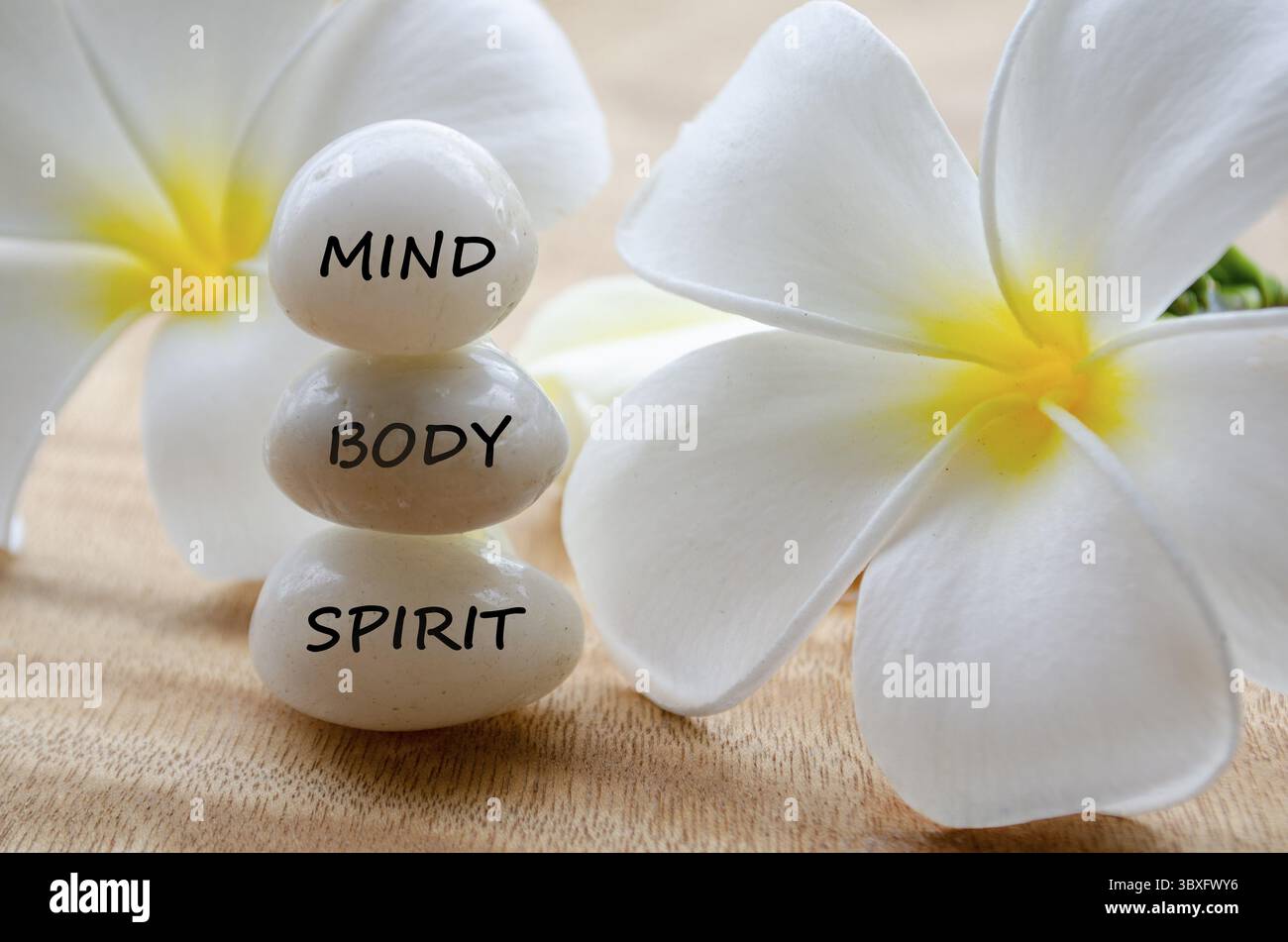 Mind, Body et Spirit texte sur pierres zen blanches avec fond de fleur blanche Banque D'Images