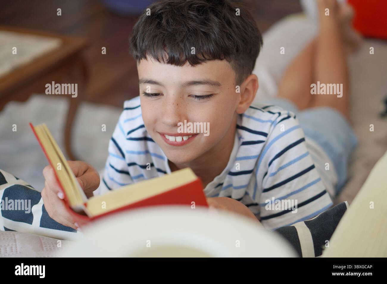 Joyeux garçon preteen lisant un livre sur le canapé, loisirs sans écran Banque D'Images