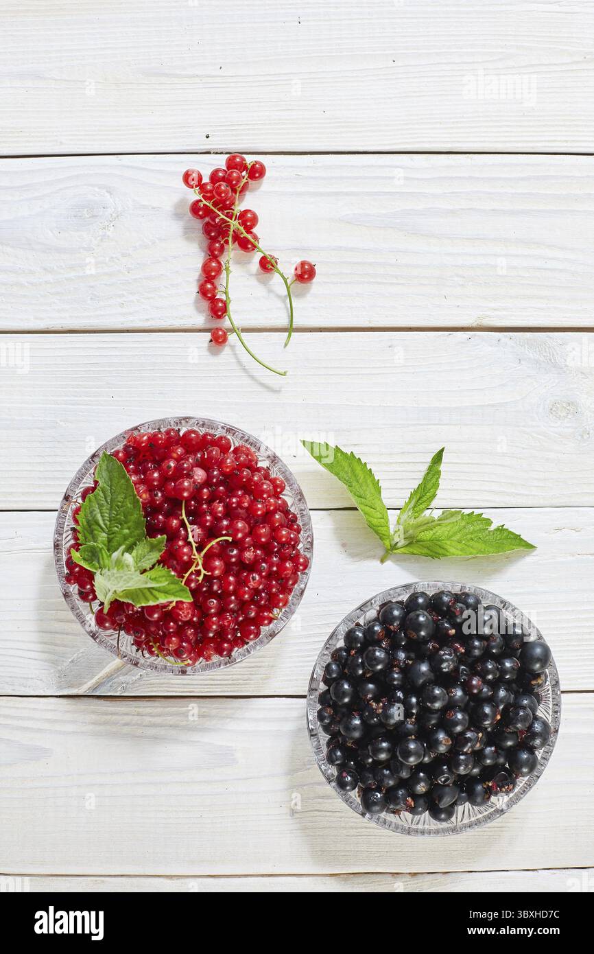 De petits fruits rouges et de groseille blanc noir Banque D'Images