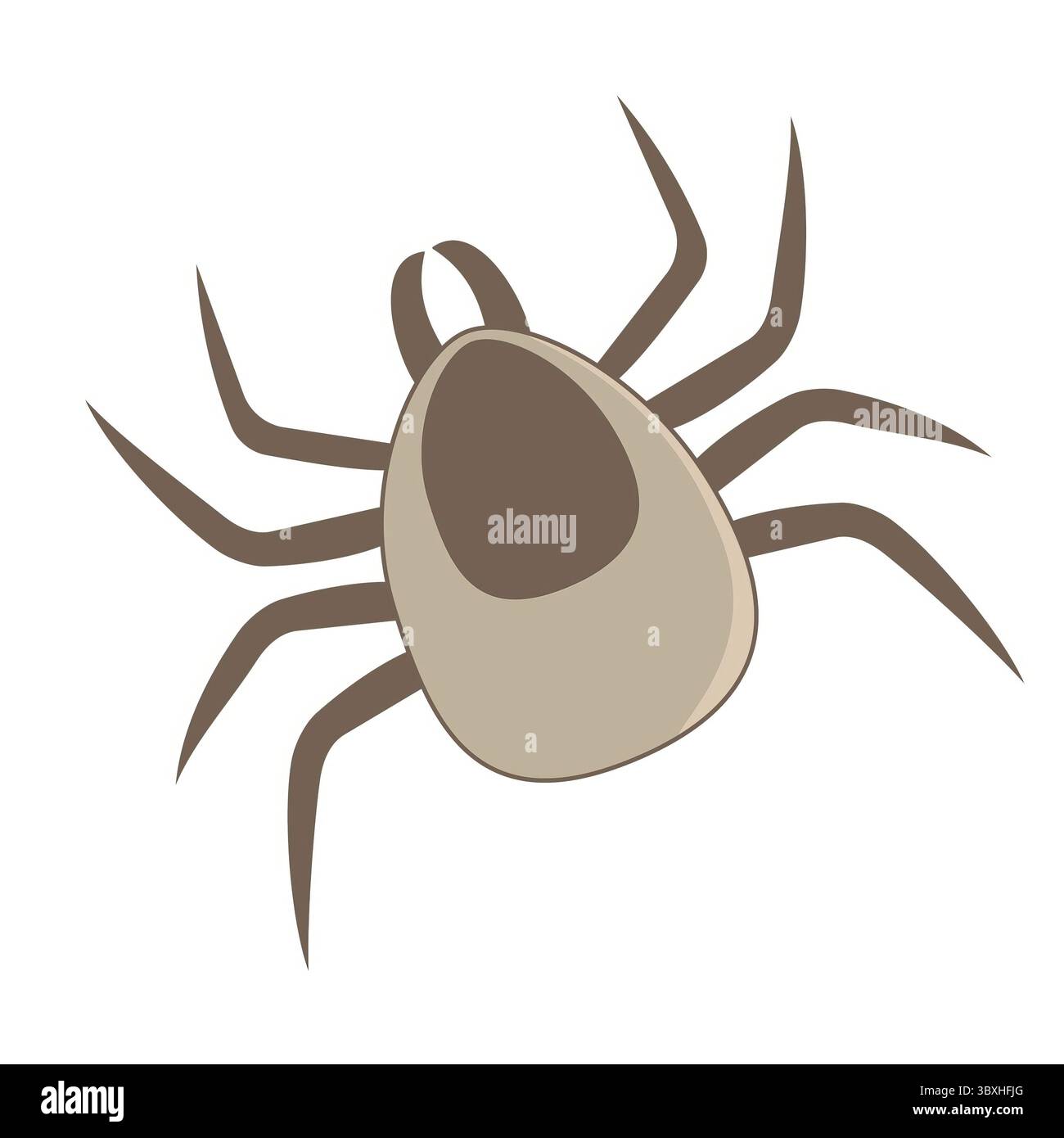 Tique brune de bande dessinée avec huit jambes sur fond blanc Banque D'Images