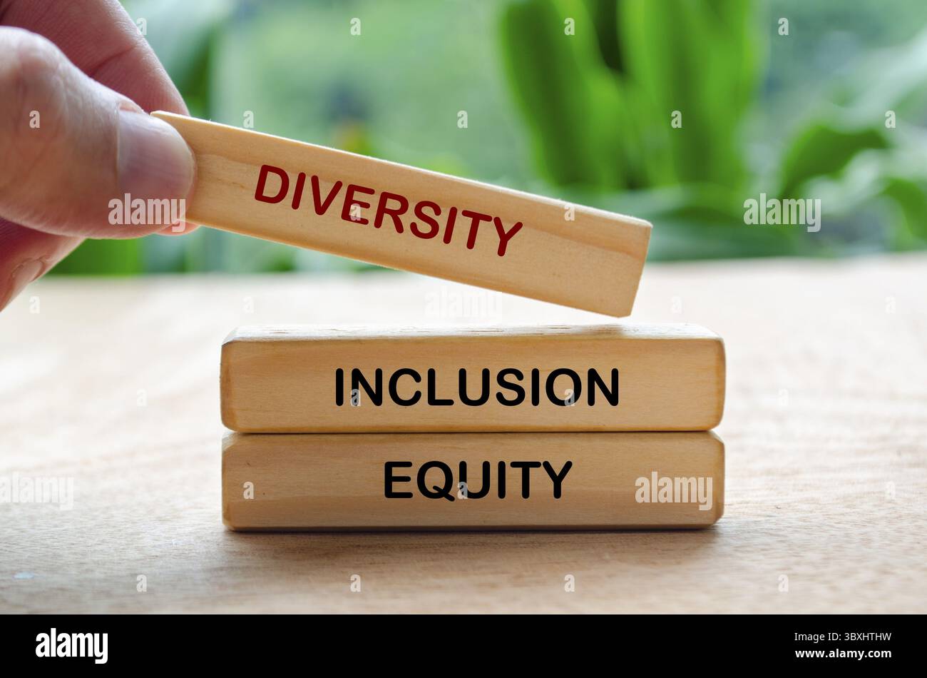 Texte diversité, inclusion et équité sur blocs de bois. D et I concept Banque D'Images