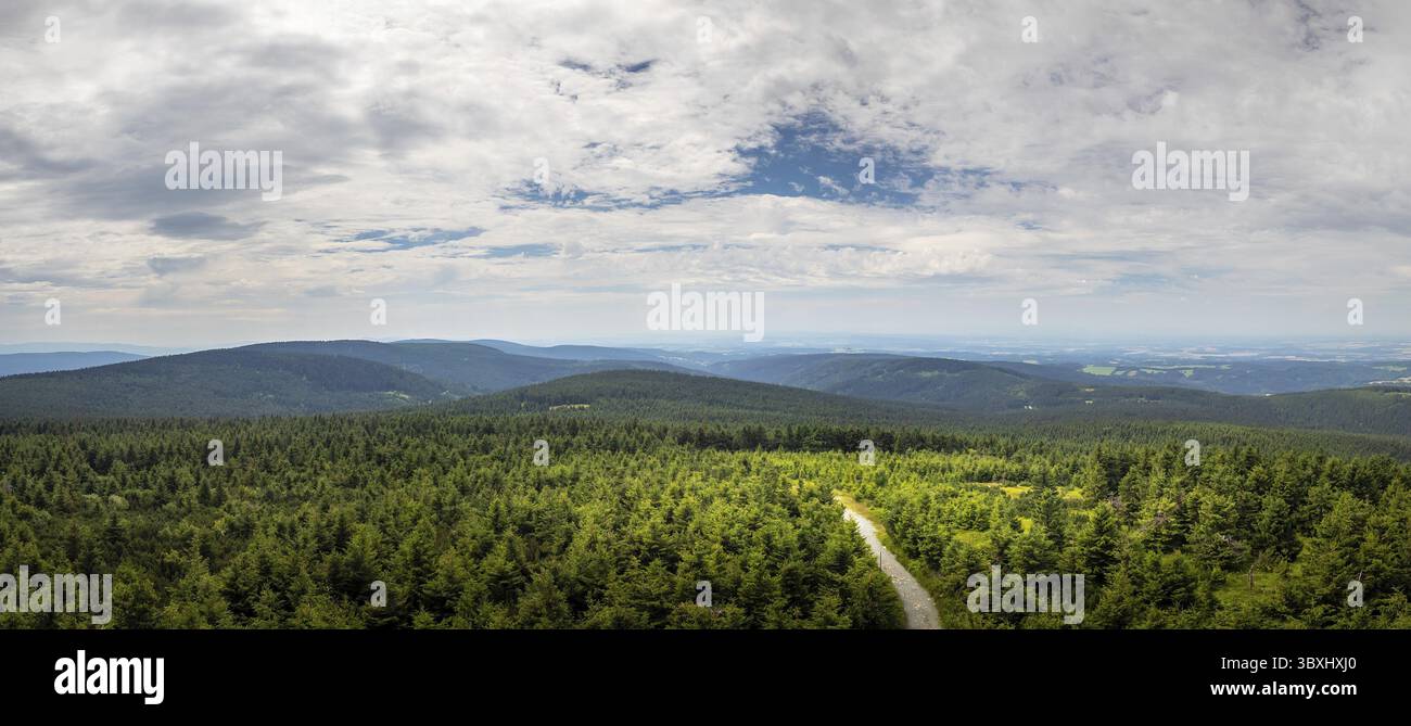 Forêt sur les crêtes de montagne avec un chemin, illuminé par le soleil brillant, ciel nuageux, vue de la tour de guet Velka Destna, Orlicke hory, tchèque R Banque D'Images