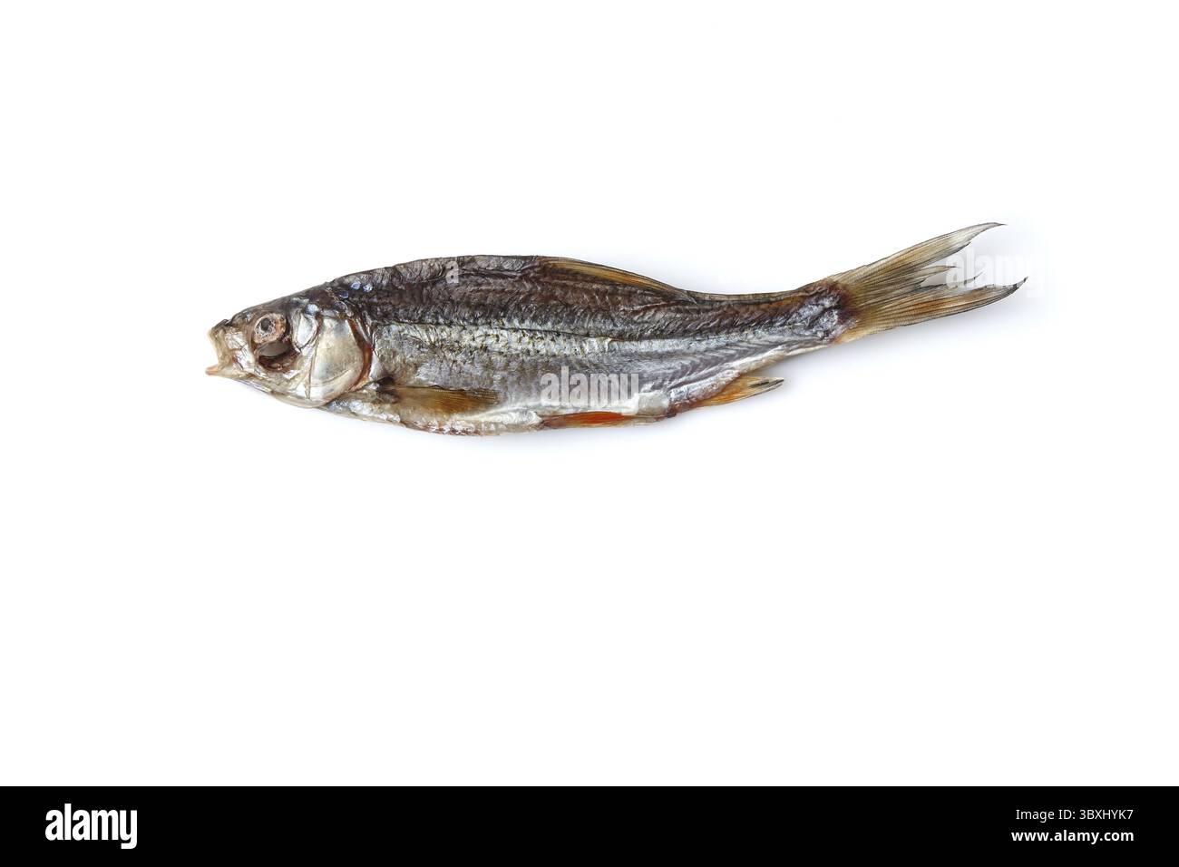 Torches séchées ou jerky salées, poissons appétissant isolés sur fond blanc. Apéritif à la bière salée. Manière traditionnelle de préserver le poisson. Gros plan, copie Banque D'Images