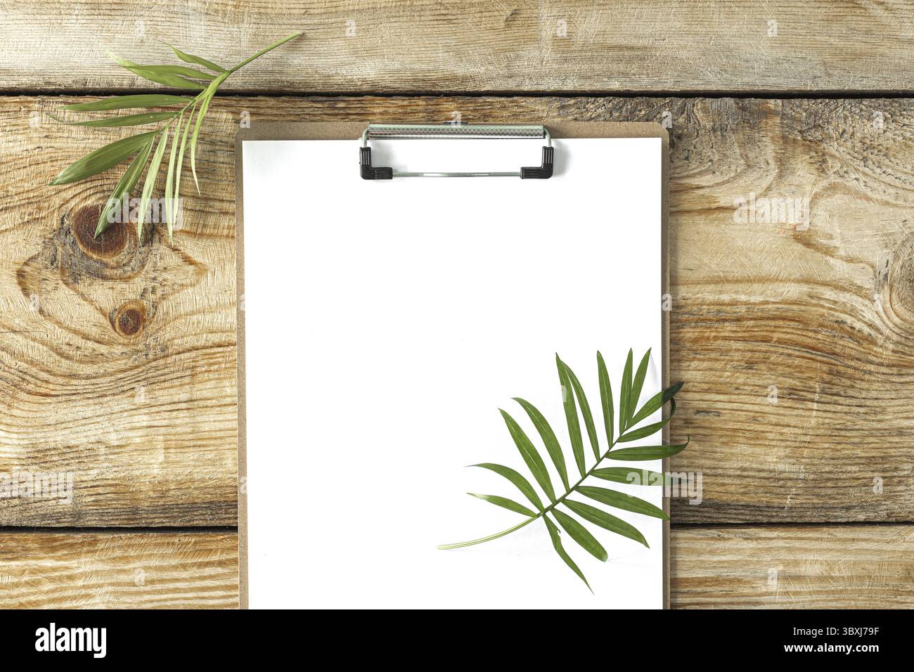 Nourriture, Une feuille de papier blanche et une branche d'un palmier tropical sur un fond en bois, vue de dessus Banque D'Images