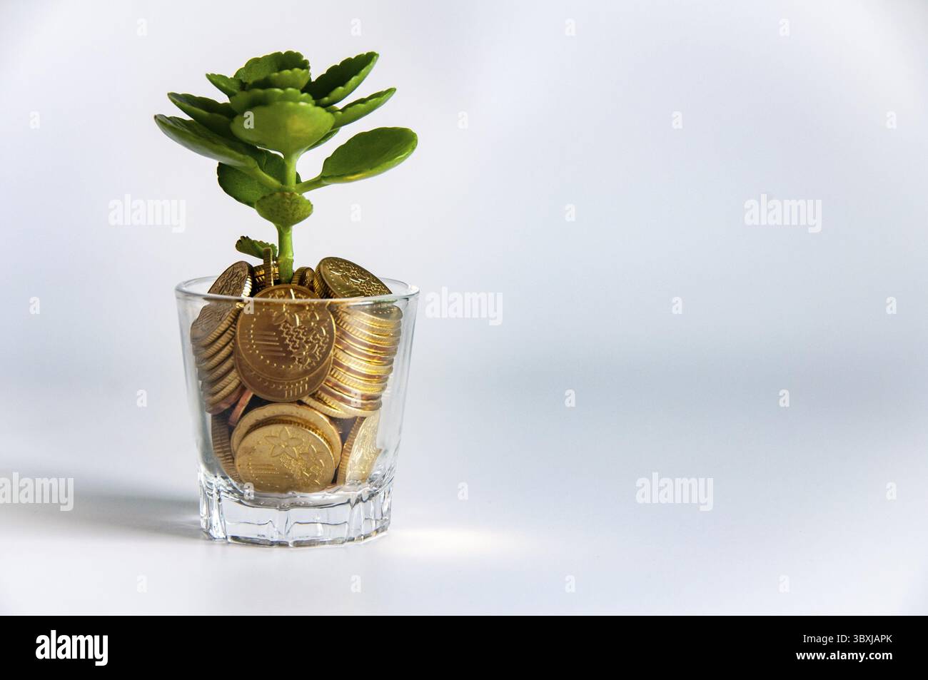 Pièces d'or nourrissant une plante. Viabilité économique et croissance financière Banque D'Images