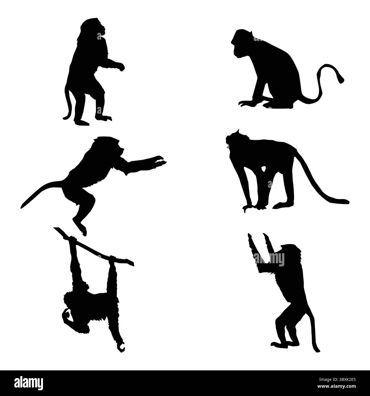 Formes de singe avec illustration de fond blanc Illustration de Vecteur