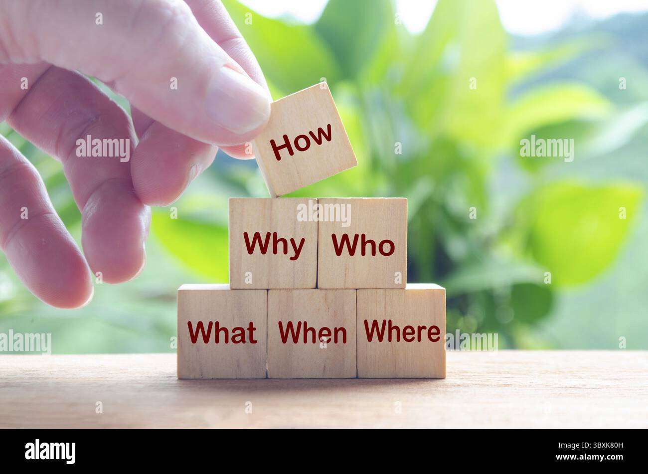 Comment, pourquoi, qui, quoi, quand et où mots sur des cubes en bois. Solution et concept commercial Banque D'Images