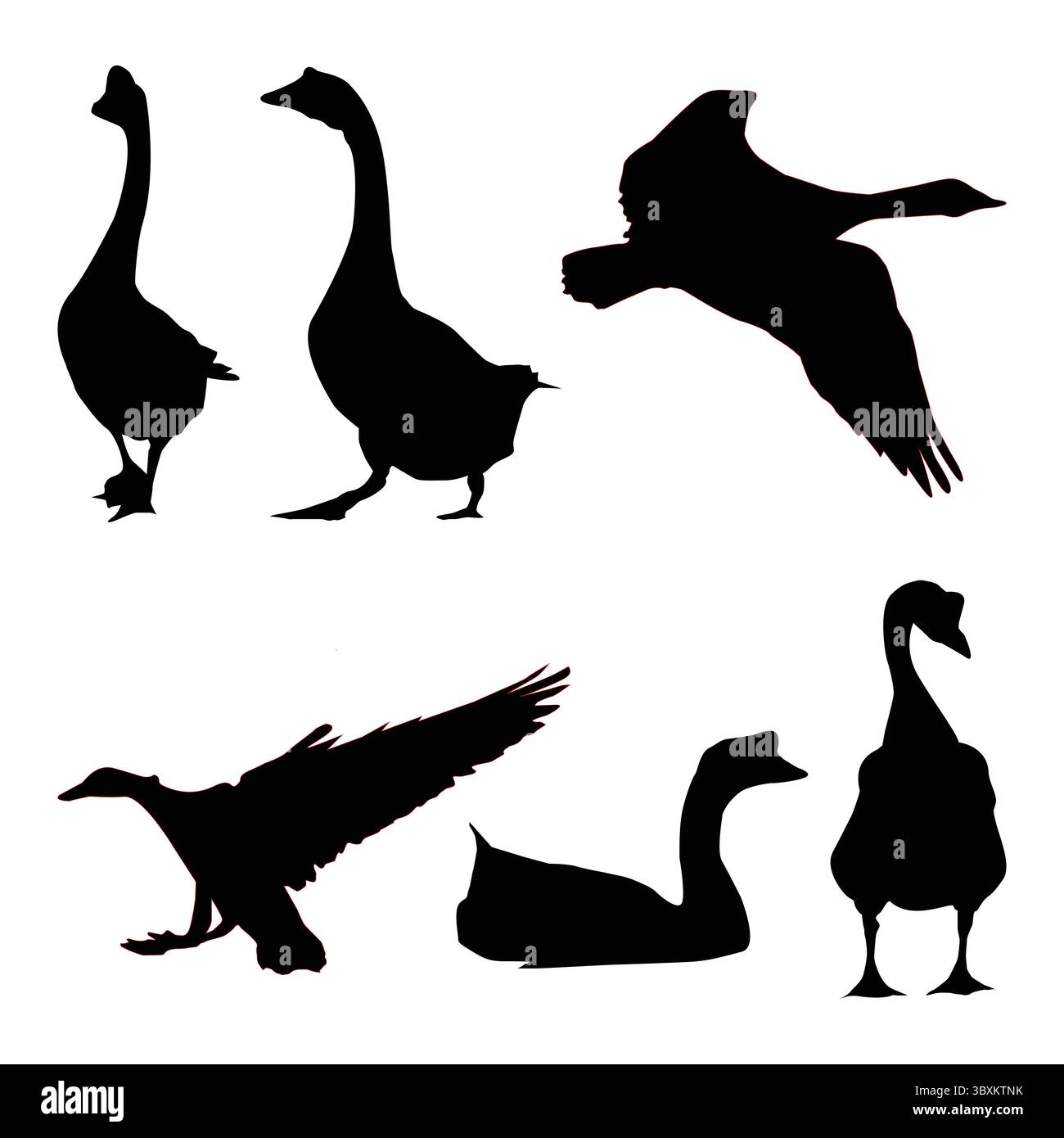 Premium Vector Seamless fond Snow Goose sur un fond blanc Illustration de Vecteur