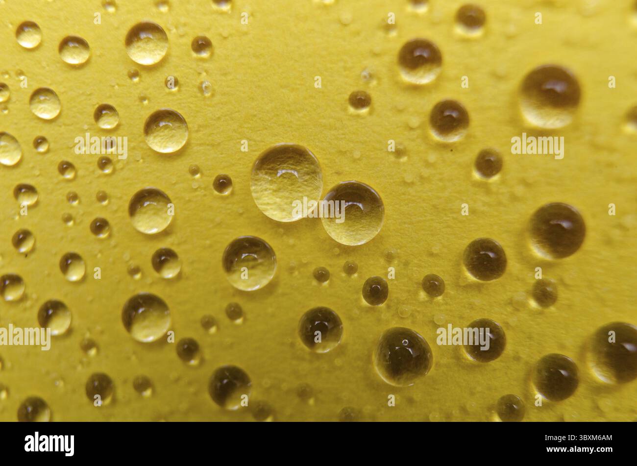 Gros plan de gouttelettes d'eau sur fond de couverture jaune. Gouttelettes d'eau et concept de papier peint Banque D'Images