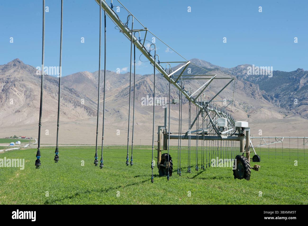 Irrigation à pivot central sur un champ de luzerne dans le centre-sud de l'Idaho Banque D'Images
