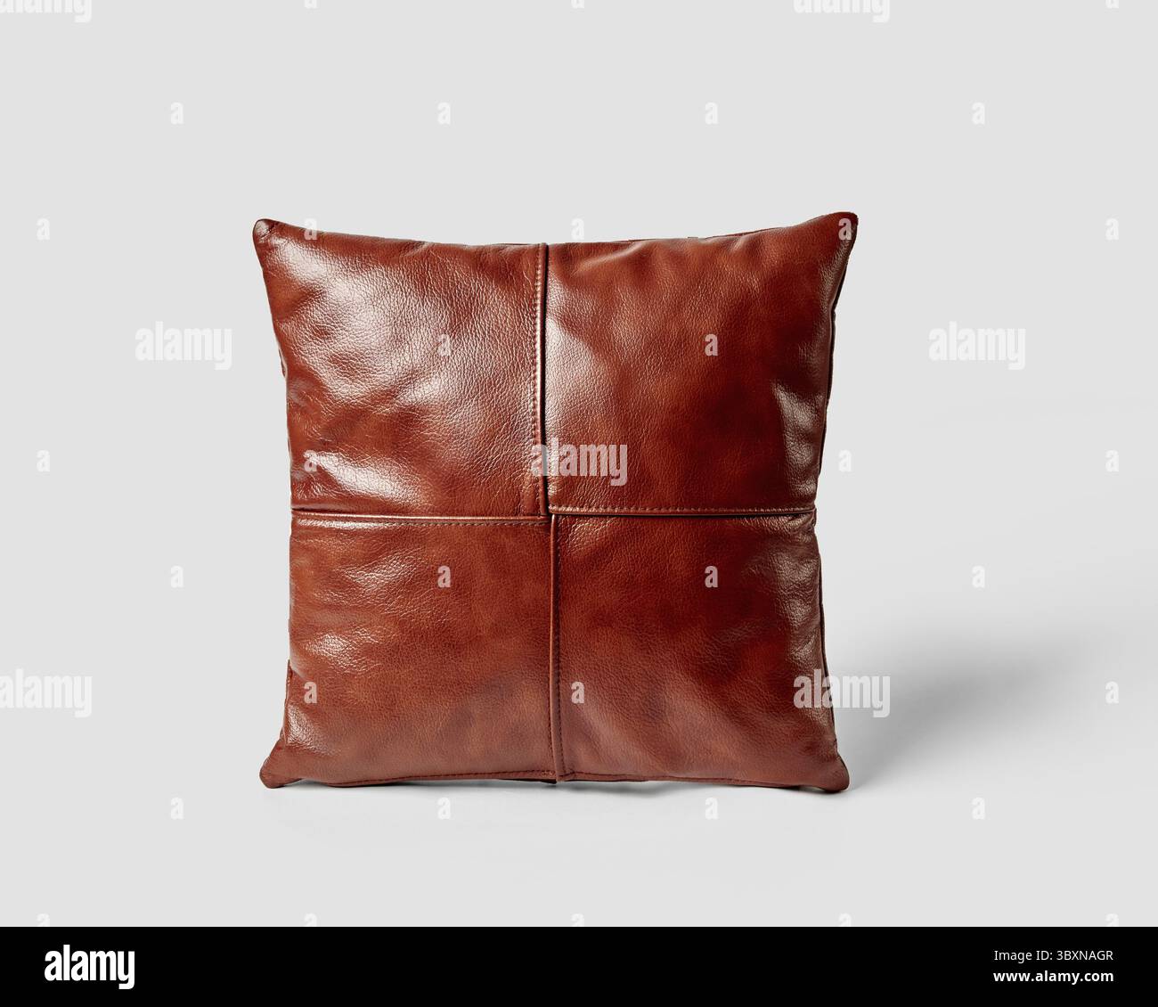 Coussin en cuir marron ajoutant une touche d'élégance à n'importe quel espace Banque D'Images