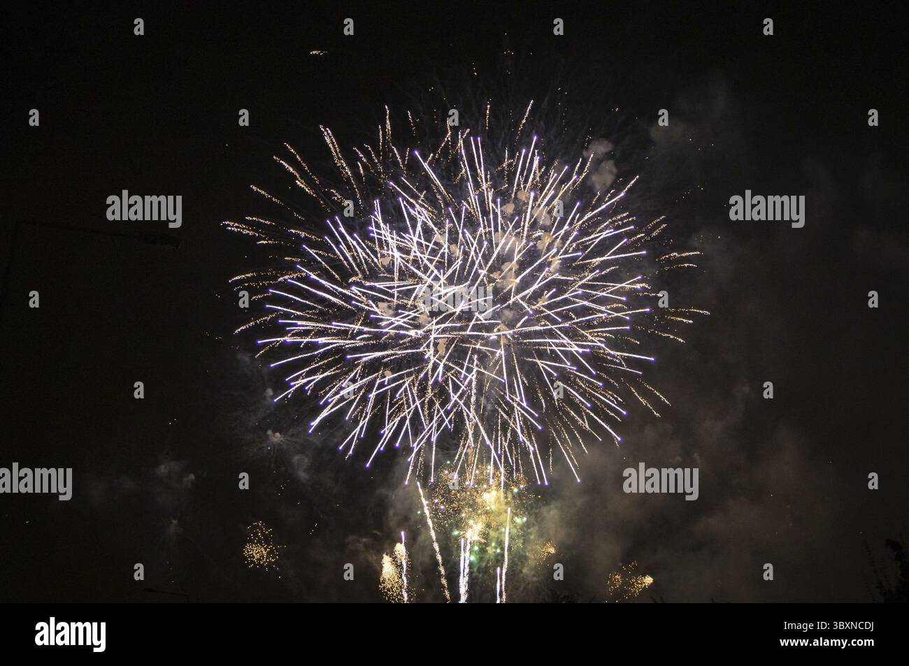 Fête de l'artifice illuminant le ciel de nuit dans toutes les couleurs Banque D'Images
