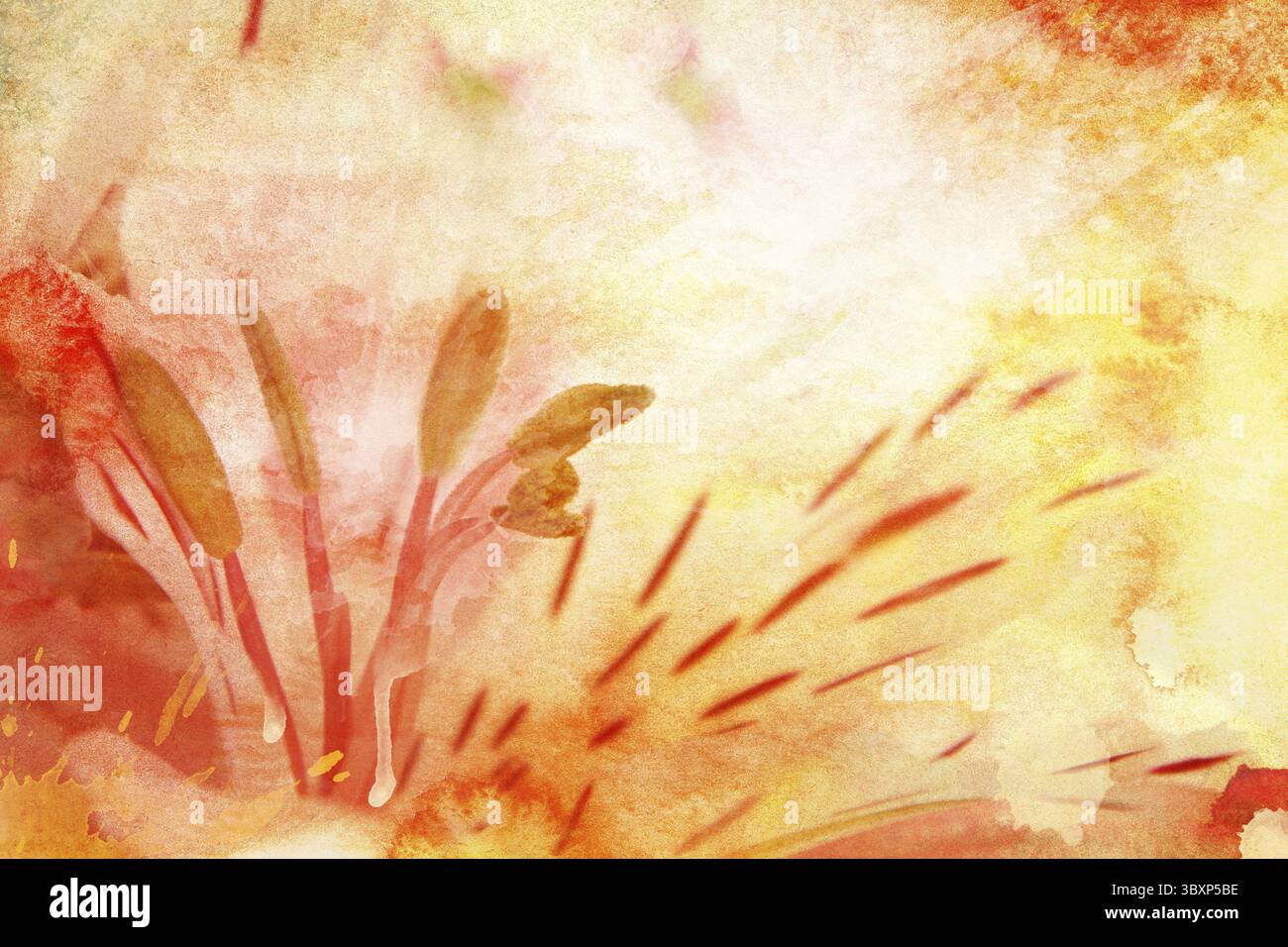 Lys aquarelle, pour les arrière-plans ou les textures Banque D'Images