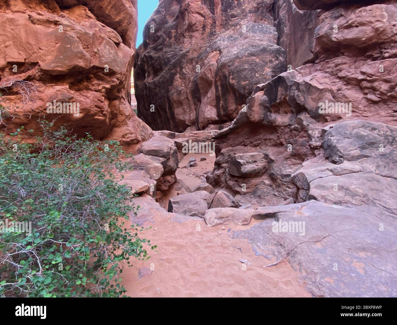 Dans un canyon sur le Fiery Furnace Trail dans le parc national d'Arches, en regardant une formation d'arche et les parois du canyon, un jour d'été avec un ciel clair et bleu - Image de stock capturée avec un smartphone