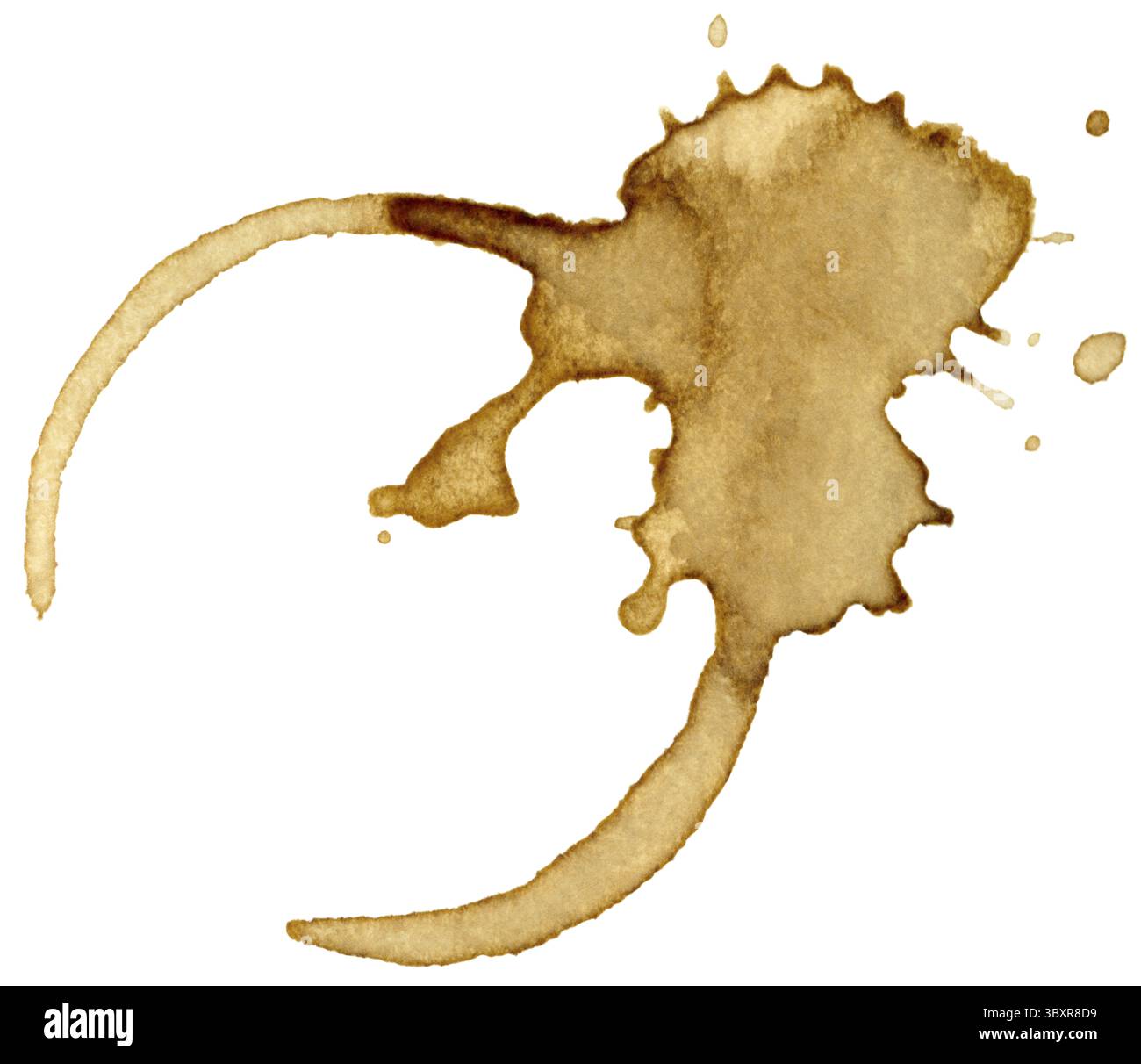 Marque de tasse à café isolée sur fond blanc Banque D'Images