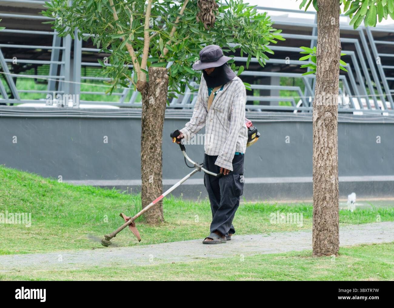 Les travailleurs utilisent des débroussailleuses à dos pour entretenir l'herbe dans le jardin paysager. Banque D'Images
