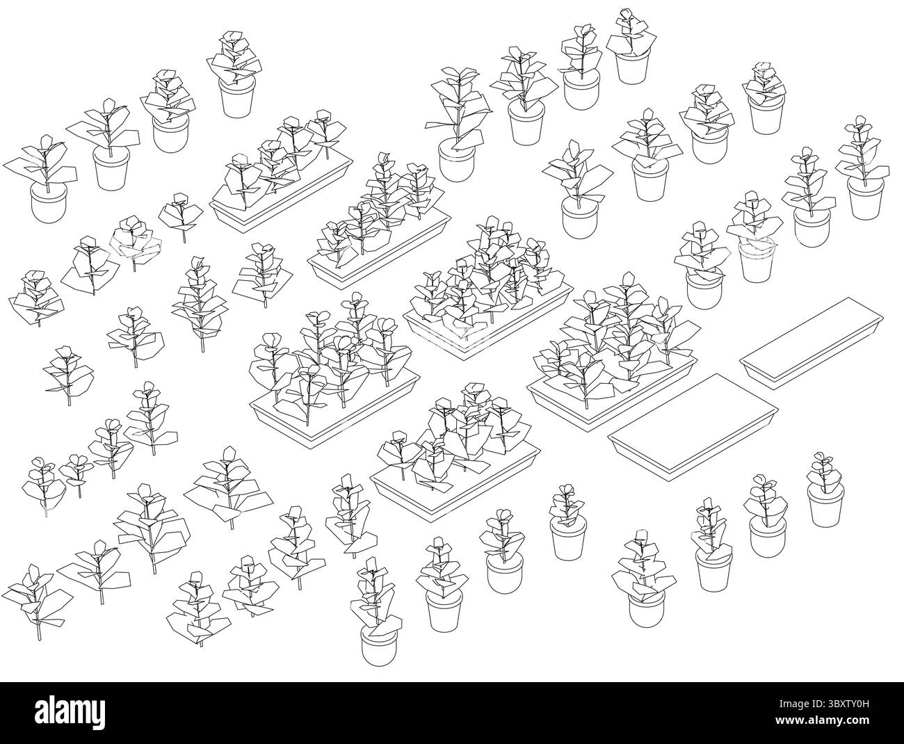 Un dessin d'un jardin avec de nombreuses plantes en pot. Les plantes sont disposées en différentes tailles et formes, et certaines sont regroupées en grappes. Le gar Illustration de Vecteur