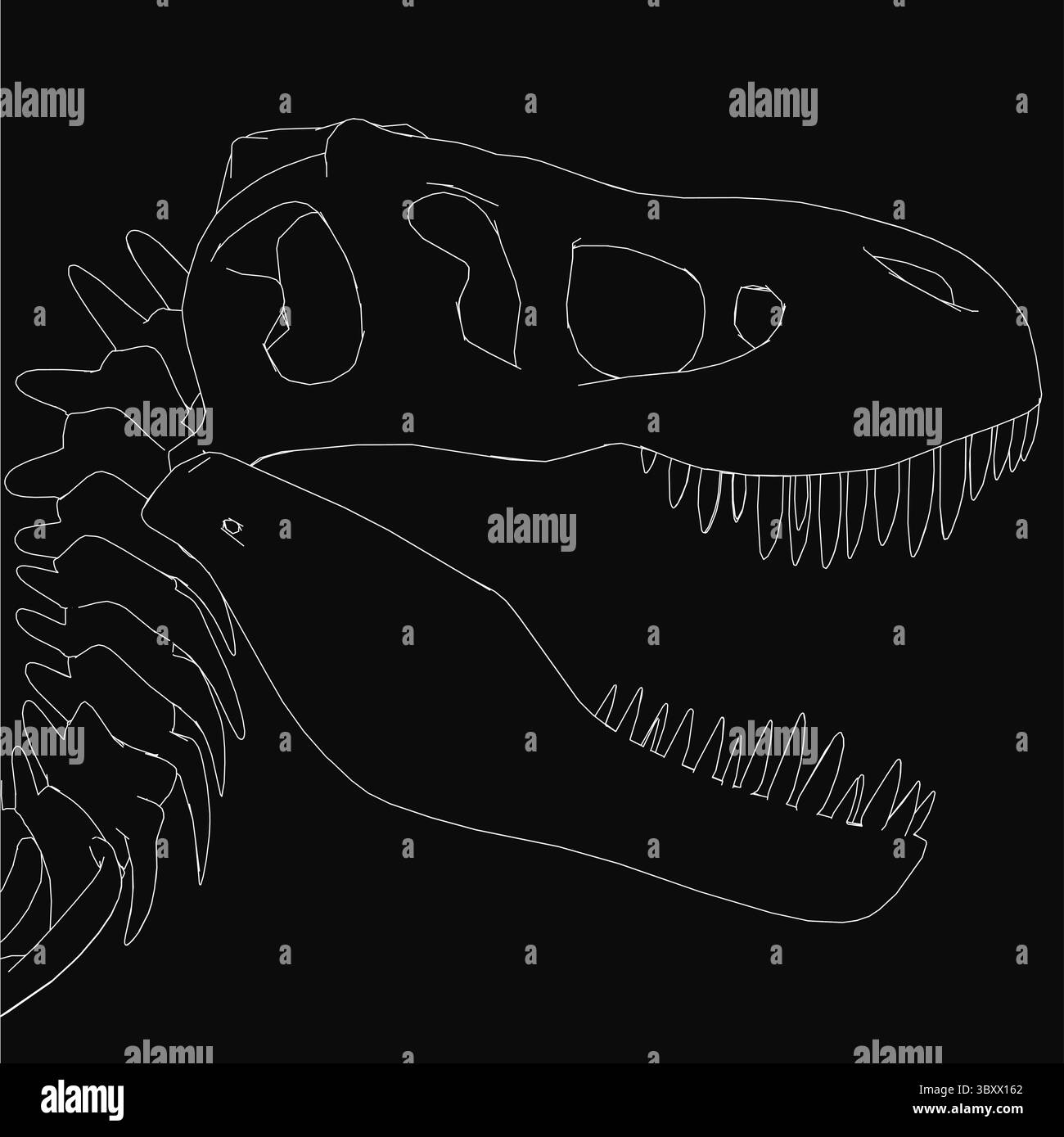 Un dessin de crâne T-Rex noir et blanc avec une bouche ouverte, mettant en valeur des dents pointues et une structure osseuse détaillée. Le fond sombre souligne les dinos Illustration de Vecteur