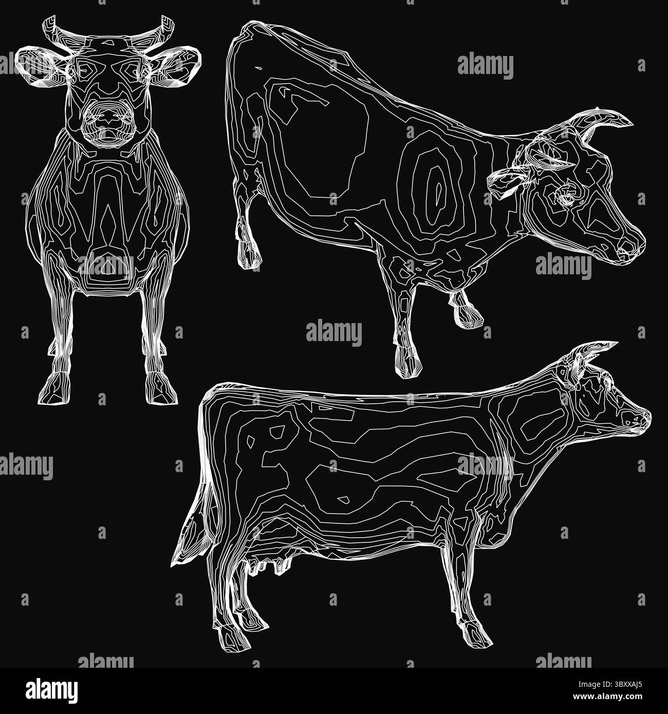 Trois vaches noires et blanches esquissées dans des détails complexes, chacune avec des formes et des textures uniques. L'arrière-plan noir intense contraste fortement avec le w Illustration de Vecteur
