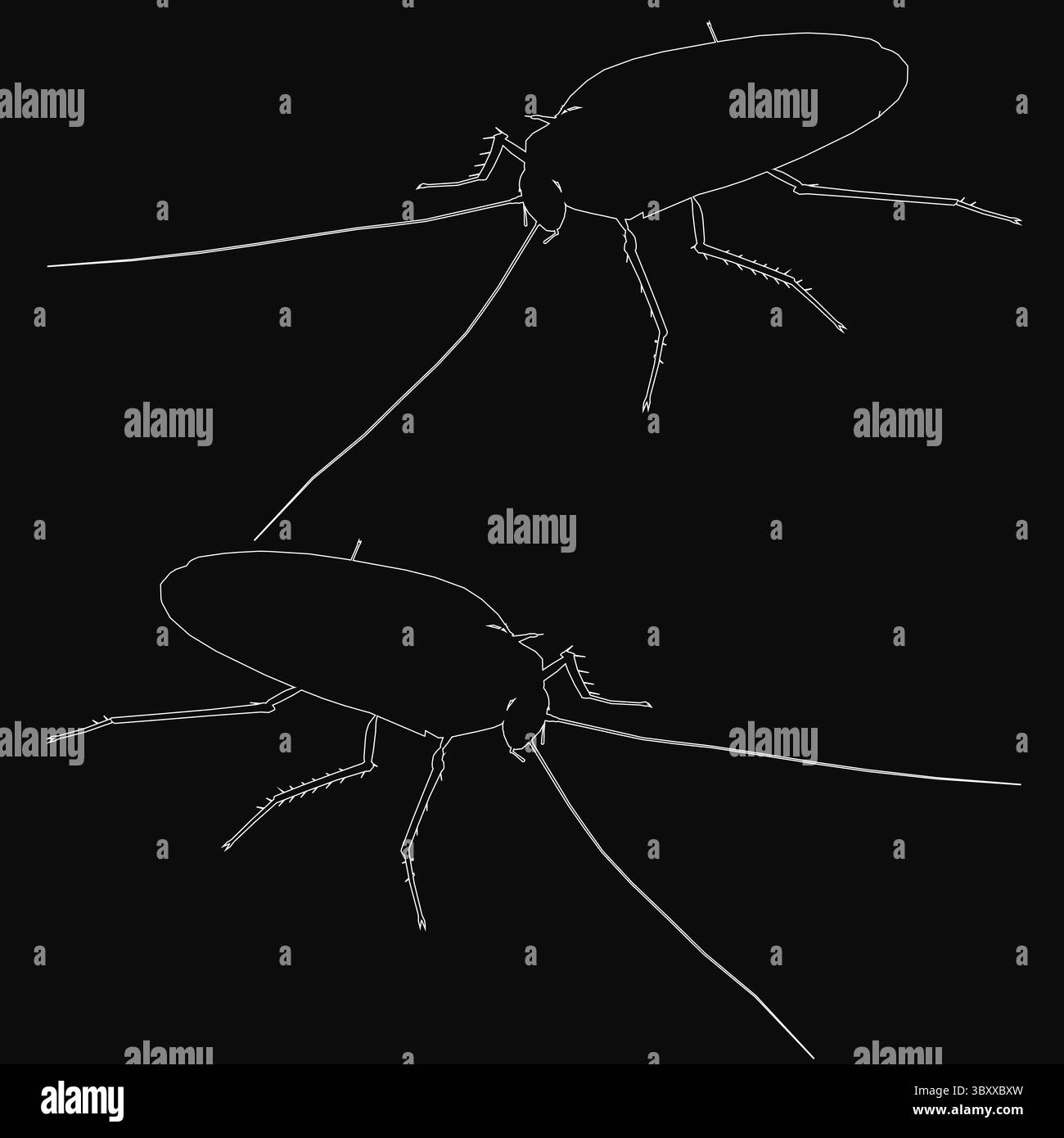 Deux cafards se tiennent bien en évidence sur un fond noir dans une composition noire et blanche frappante. Les insectes sont nettement détaillés, leur b segmenté Illustration de Vecteur