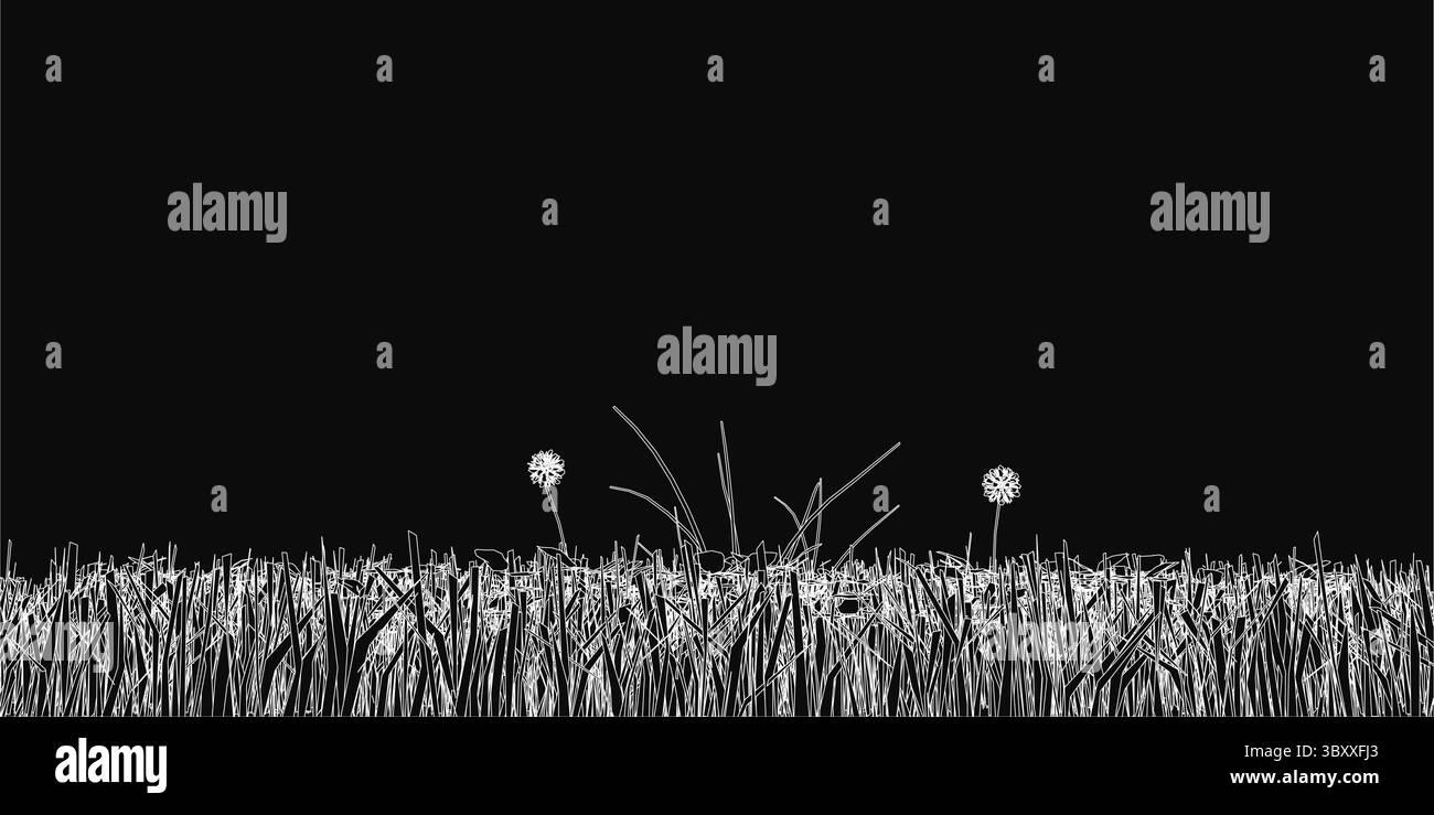 Champ herbeux avec deux fleurs délicates au premier plan, capturées en noir et blanc. L'arrière-plan sombre souligne le contraste, mettant en évidence le t Illustration de Vecteur