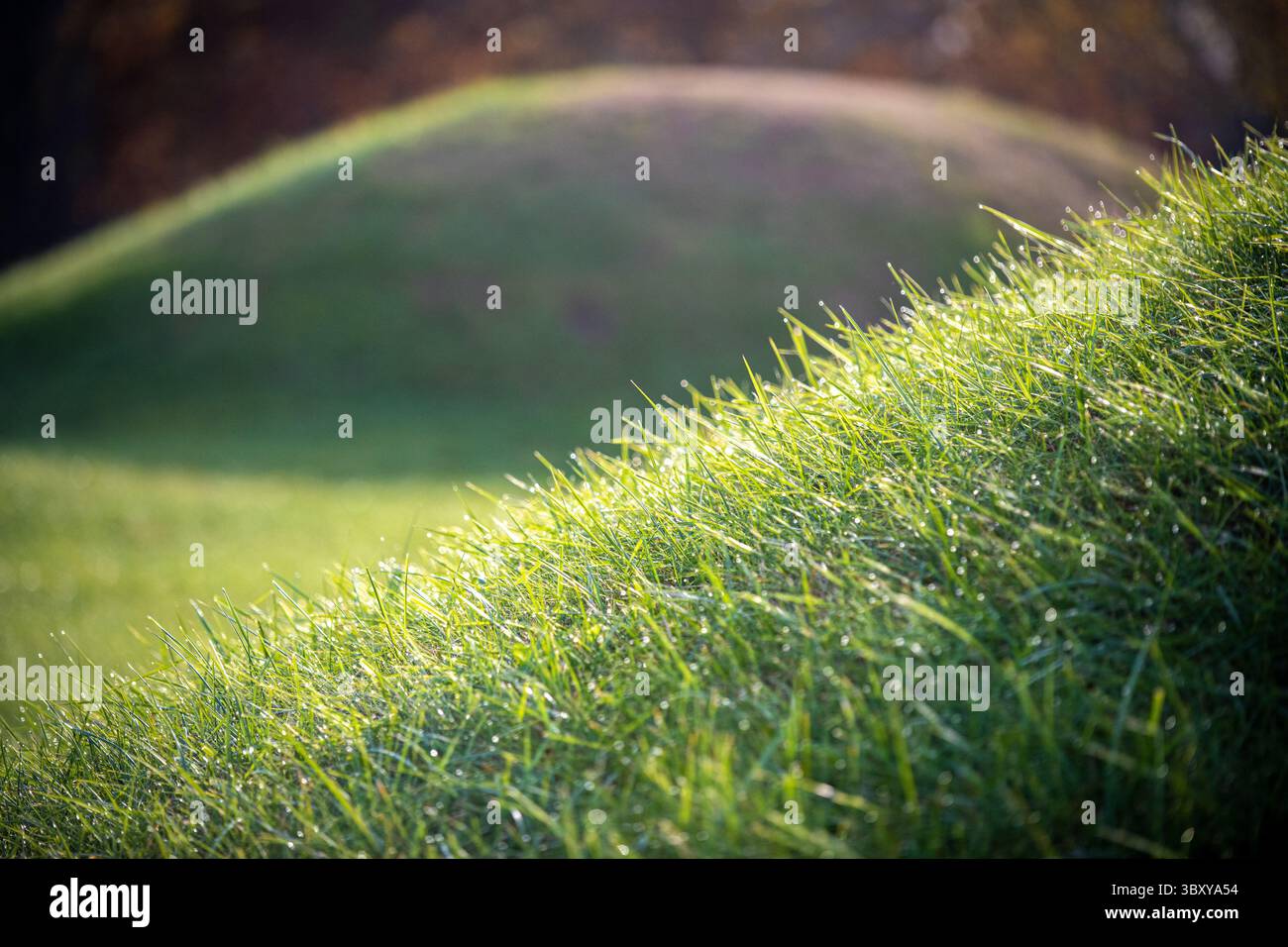 16 novembre 2021, Chillicothe, Ohio, États-Unis : Hopewell culture NHP , Mound City Group (crédit image : © Edwin Remsberg/VW pics via ZUMA Press Wire) Banque D'Images