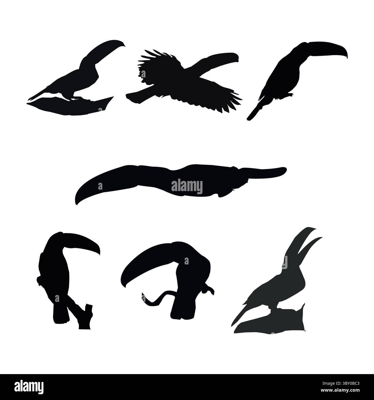 Toco Toucan Love Birds formes avec illustration de fond blanc Illustration de Vecteur