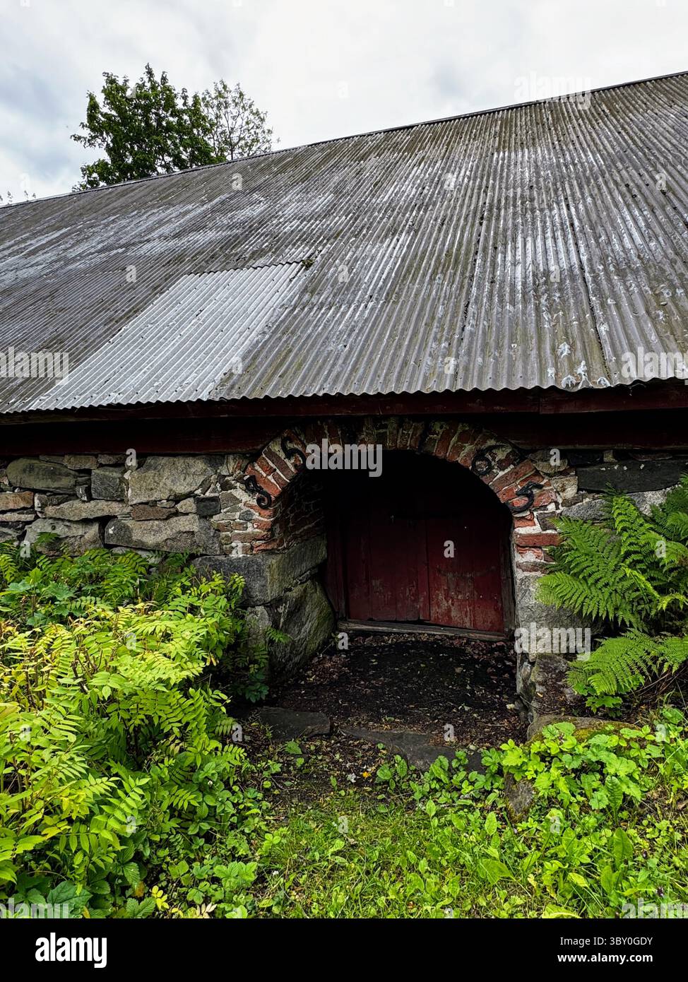 Fagervik : arche en pierre et brique sous le toit de l'ancienne grange, entourée de plantes d'été et de charme rustique de la campagne. - Image de stock capturée avec un smartphone